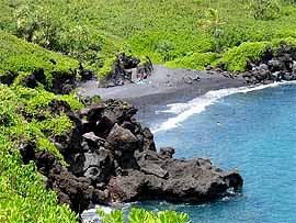 Hawaiian Algae