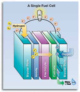 Fuel Cell