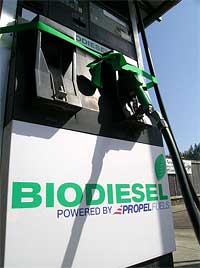 Biodiesel Pump