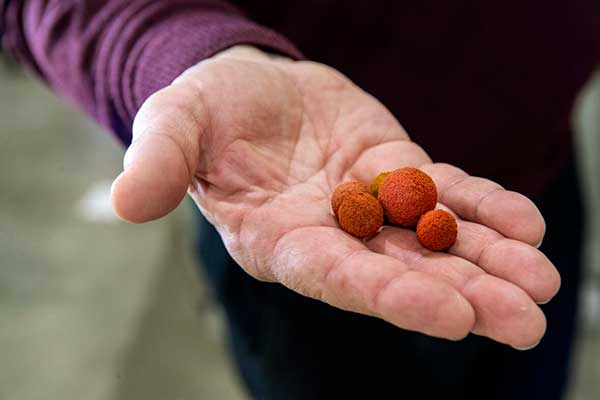 sponge balls in hand